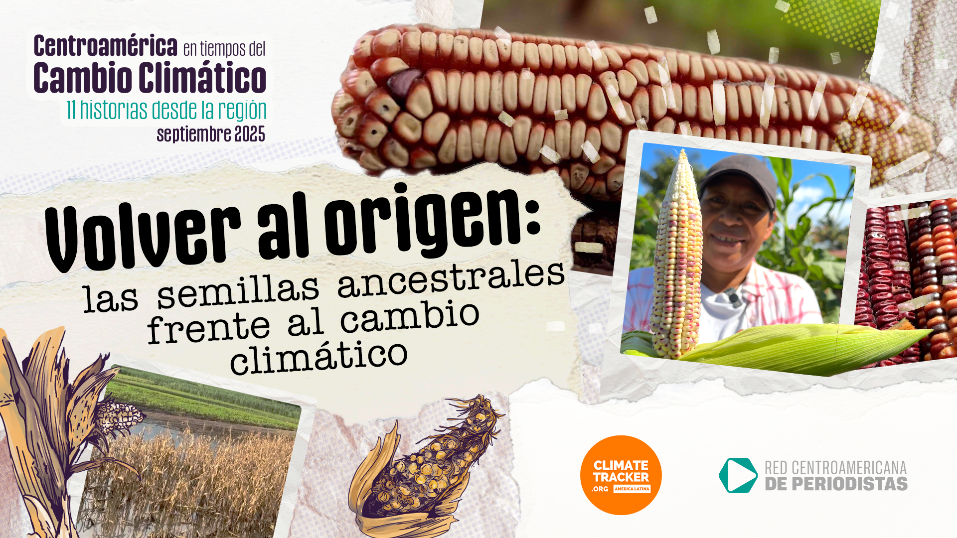 Semillas criollas frente al cambio climático